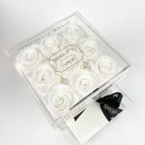B&BA 9 White Eternity Roses