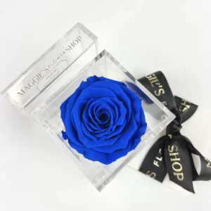 B&BA Single Blue Eternity Rose