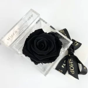 B&BA Single Velvet Black Eternity Rose