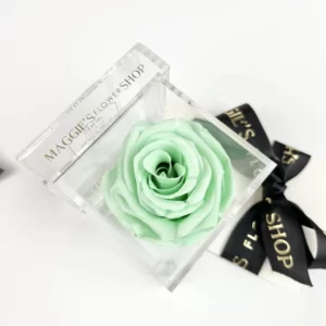 B&BA Single Aqua Eternity Rose