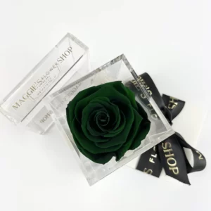 B&BA Single Velvet Green Eternity Rose