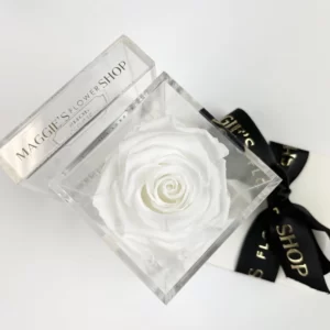 B&BA Single White Eternity Rose