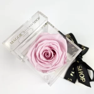 B&BA Single Pink Eternity Rose
