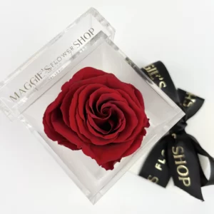 B&BA Single Red Eternity Rose