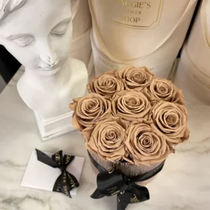 B&BA ETERNITY NUDE MOCHA