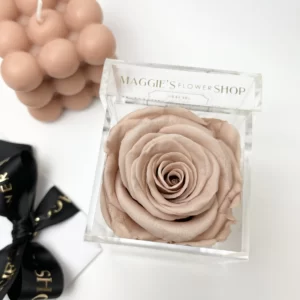 B&BA Nude Latte Eternity Rose