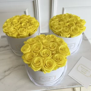 B&BA Eternity Roses