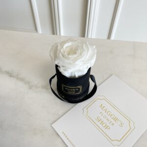 B&BA Mini Eternity Rose