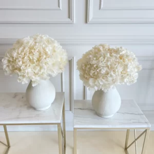 B&BA Eternity Hydrangeas