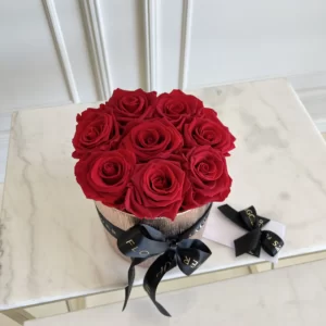 B&BA ETERNITY RED