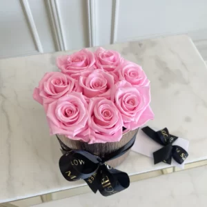 B&BA ETERNITY LIGHT PINK